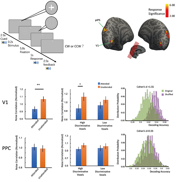 插图-中文.png